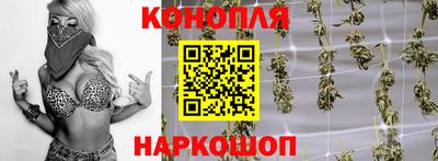 прущие грибы Вышний Волочёк
