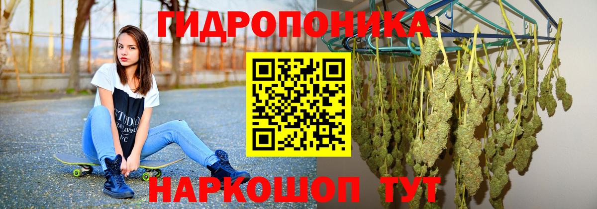 Бошки марихуана THC 21% Сухой Лог